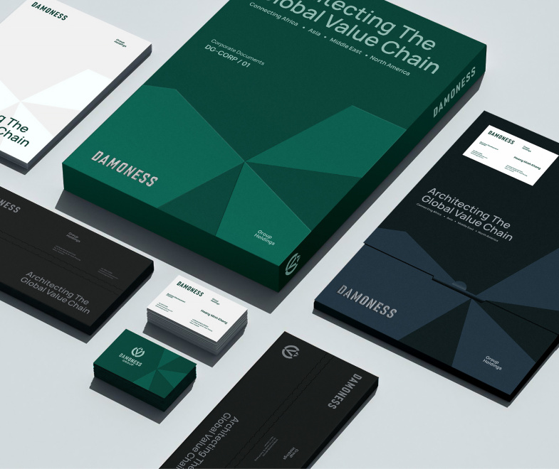 Damoness Group Holdings - Visual Identity System